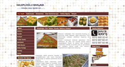 Desktop Screenshot of haleplioglu.com